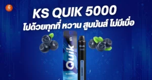 quik-5000-puff-smoke-have-fun