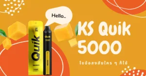 quik-5000-puff-solve-doubts-anyone-can-use