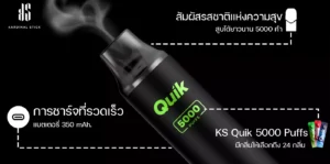 review KS quik 5000 puff 1