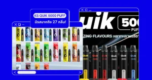 Quik 5000 Puff not-expensive-has-27-flavors