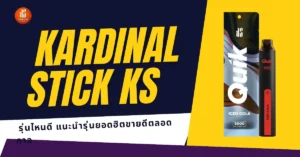 kardinal stick KS th