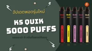 KS Quik 5000 Puffs 9