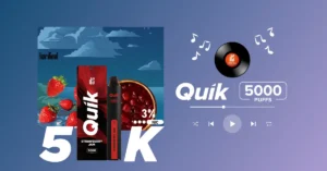 Playlist quik 5000 puffs